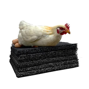 Washable Nesting Pads for Chicken Coop, 12” Drop Protection, Reusable Plastic... - Picture 1 of 9