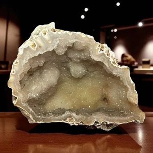 Agatized Fossil Coral, Druzy Crystals,  7 Inches By 5 Inches. - Picture 1 of 18