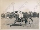1935 British Polo Team Guinness against Long Island Team Fell Press Photo