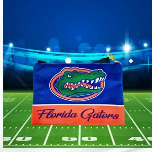 Florida Gators Bag - Large 10" x 6" - NEW - FREE SHIPPING - Picture 1 of 4