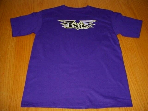NEW Youth boys XL 16 Louisville Bats Purple T-Shirt Minor League Baseball Cover