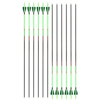 6/12 32'' Archery Arrow Pure Carbon SP400-1000 Feathers ID4.2mm Shooting Target - Image 1 of 4