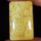 31.30 Cts Natural Fossil Coral Cushion Cabochon Loose Gemstone 18X30x5 Mm Kt-268