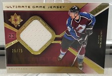 MILAN HEJDUK 2004-05 Upper Deck Ultimate Collection Jersey 25/75