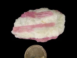 Butw Natürlich Brasilianische Pink Turmalin IN Quarz Lapidarium Probe 7396K - Picture 1 of 3