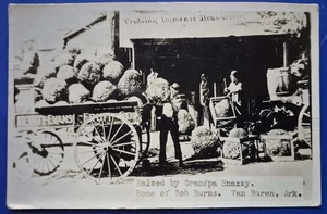 Van Buren, AR. Immense Strawberries  - Granpa Snazzy  - Photo Postcard, RPPC - Picture 1 of 2