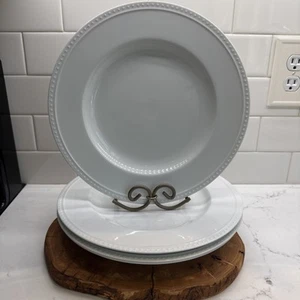 4-CRATE &BARREL STACCATO KATHLEEN WILLS PORCELAIN DINNER PLATES 11” JAPAN - Picture 1 of 15