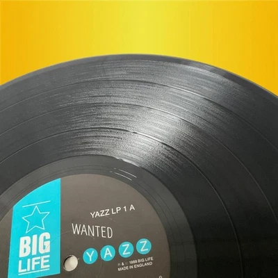Yazz - Wanted LP - 1988 Big Life YAZZLP1 - EX Vinyl VG+ Sleeve 80s Pop Soul - Image 1 of 4