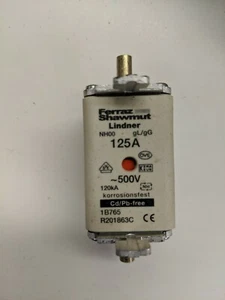Ferraz Shawmut NH00AM69V125 125A Größe NH 00 aM 690V Zentrierte Tag Sicherung 001867 - Bild 1 von 6