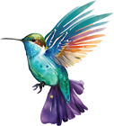 Autocollants autocollants vinyle coloré art mural pépinière Humming Bird z616