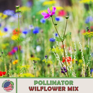 Wildflower Mix LANDSCAPER’S PACK BULK Top Sellers Non-GMO Pure Seed 1000 Seeds - Picture 1 of 2