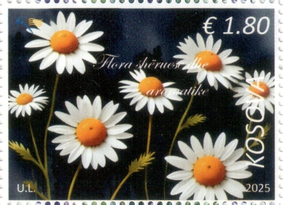 Estampillas de Kosovo 2025. Flora curativa y aromática, flores. Único definitivo. MNH Foto 1 de 1