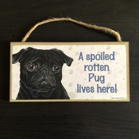 HOT NEW Borough Bandz "Spoiled Rotten" Bracelet Get it NOW! HOT NEW Borough Bandz "Spoiled Rotten" Bracelet Get it NOW!
