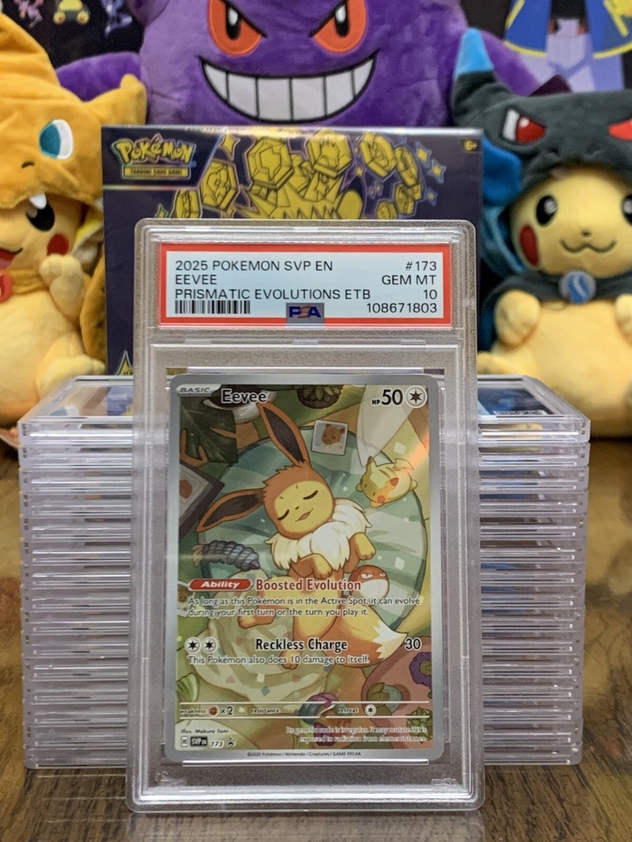 Pokémon TCG Grade 10 Eevee Individual Collectible Card Game Pokémon TCG Grade 10 Eevee Individual Collectible Card Game