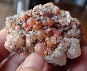 Grape Agate Utah Botryoidal Chalcedony Geode Fragment Desert Specimen GA6 - Picture 1 of 6