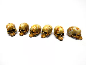 CALAVERA ESCALA 1/6 - JUEGO DE 4 CRÁNEOS HUMANOS PINTADOS - Imagen 1 de 3