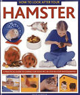 How to Look after Your Hamster : A Practical Guide to Caring for