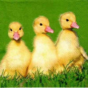 Drei Servietten: ENTENKÜKEN (1960) - Bild 1 von 2