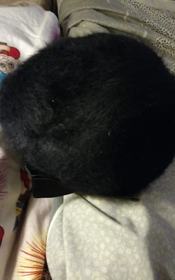 Vintage 1950s  100% wool Merrimac Hat Corp 100% Merfelt Brown Retro Beret - Image 1 of 4