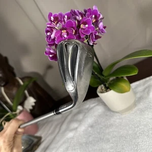 Nike Slingshot OSS Sand Wedge W-Flex Womans AllOriginal diamana graphite VGshape - Picture 1 of 12