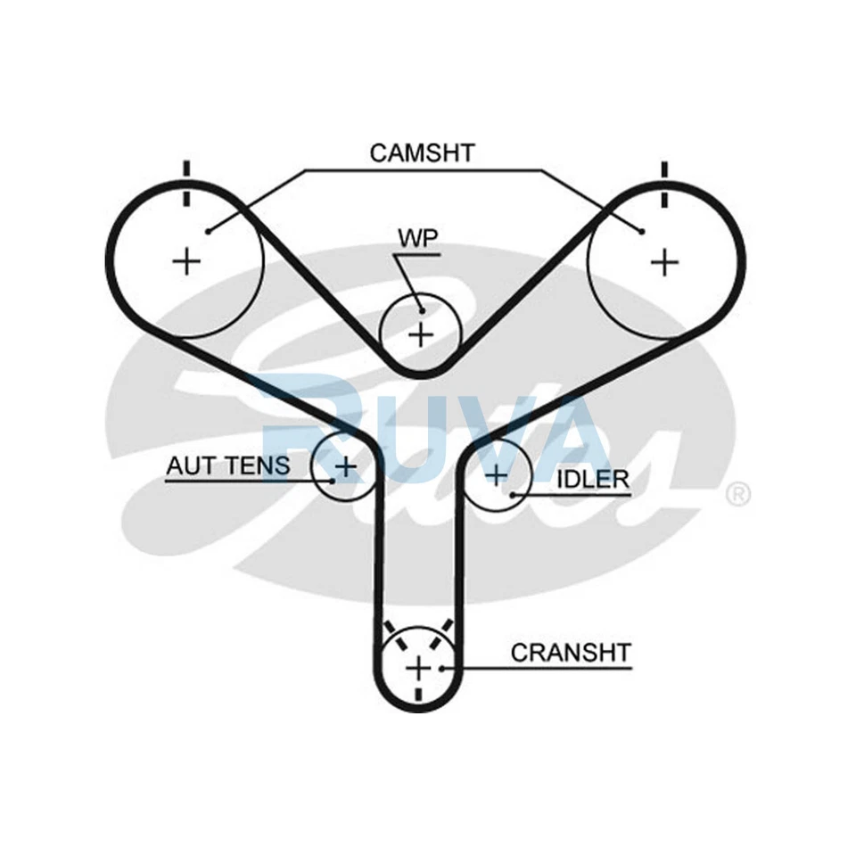 Fits Toyota Land Cruiser Amazon Lexus LS SC 4.0 4.3 4.7 Ruva Timing Cam Belt - Image 1 of 1