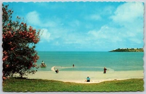 Somerset Bermuda Daniel's Head Fishermen Netting Small Fish Beach Postcard - Bild 1 von 2