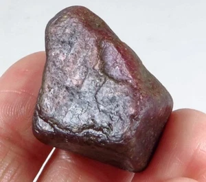 112Ct Natural Unheated Red Star Ruby Specimen Facet Rough YRX2798 - Picture 1 of 3