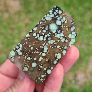 NATURAL STAR FOX VARISCITE GREZZO NEVADA 103,9 GRAMMI - Foto 1 di 7