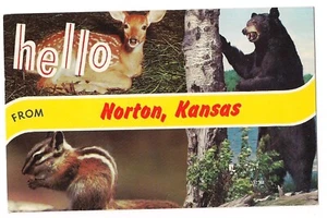 Hello from Animals In Norton DEER BEAR CHIPMUNK Kansas KS Postcard Name Band - Bild 1 von 2