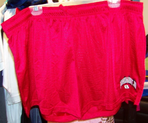 VINTAGE CHASE #24 JEFF GORDON WOMENS LADIES POLYESTER MESH GYM SHORTS 2X LARGE Cover