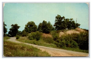 Nature Area Illinois Beach State Park Zion Illinois IL Chrome Postcard T22 - Picture 1 of 2