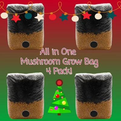 4 PACK! All in One Mushroom Grow Bag - Image 1 of 2