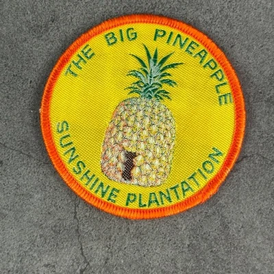 Vintage Giant BIG Pineapple GYMPIE Queensland Australia Embroidered Patch Badge - image 1 of 2