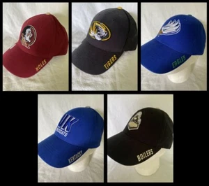 Cautivador Sombrero Ajustable NCAA Calderas Gorra Noles Tigres FGCU, Kentucky - Imagen 1 de 26