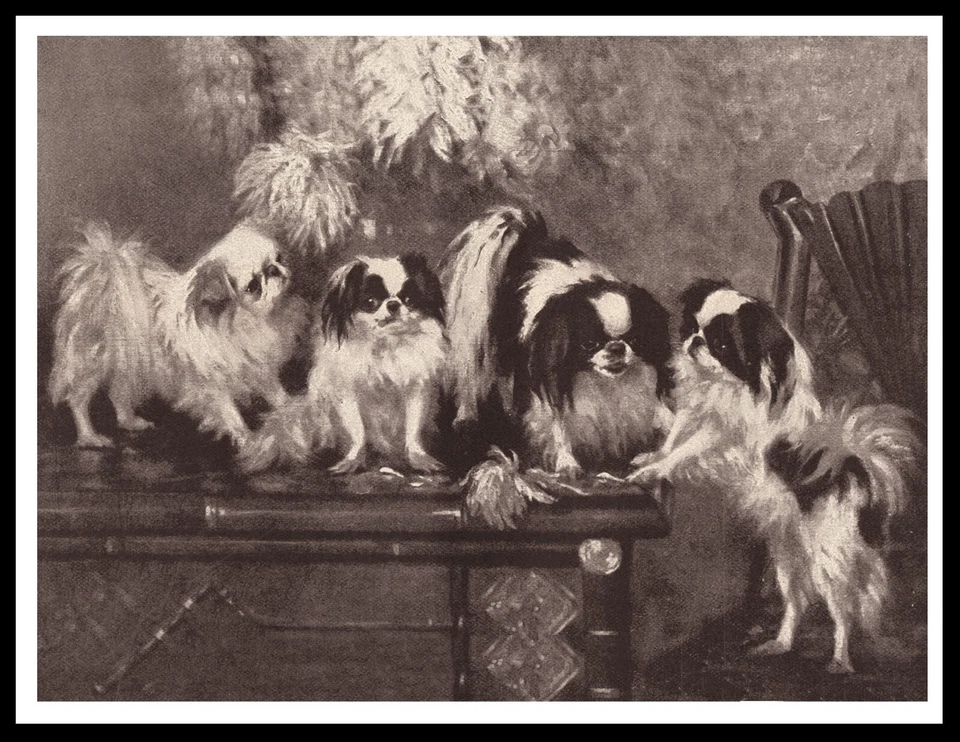 JAPANESE CHIN GROUP OF DOGS VINTAGE STYLE DOG ART PRINT POSTER - Image 1 of 1