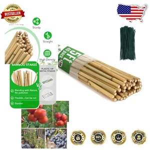Natural 5ft Bamboo Plant Stakes - 40 Piece Set for Vegetables & Climbing Plants - Picture 1 of 8