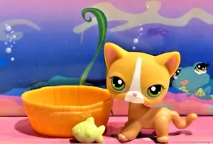 LITTLEST PET SHOP LPS AUTHENTIC ORANGE AND WHITE SHORT HAIR CAT #72 - Picture 1 of 5