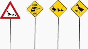 N Scale - Duck Crossing Sign Pack – 4 Fun Signs with Metal Poles - Picture 1 of 5