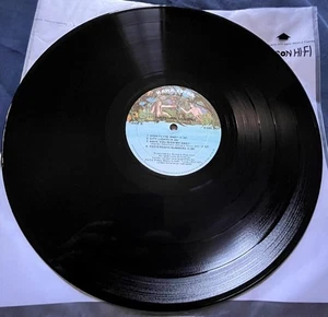 FLAMIN GROOVIES-Teenage Head 12" Record ONLY 1972 KSBS 2031 Kama Sutra VG+ - Foto 1 di 2