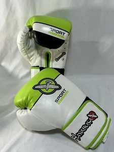 Hayabusa Sport 12oz Boxing Gloves - Picture 1 of 14