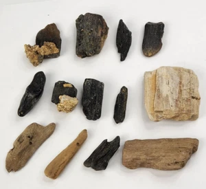 Silicified and Phosphatized Wood 13 Piece Set - 211 g Total - Picture 1 of 24