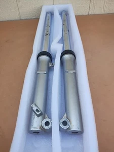 Kawasaki KLX110R FORKS FRONT SHOCKS SUSPENSION GENUINE OEM 2007 - Picture 1 of 13