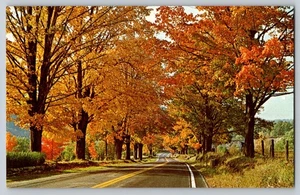 Allegany state park, New York - Picture 1 of 2