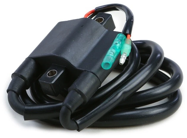 Bobina de encendido SP1 SM-01189 Arctic Cat Foto 1 de 1