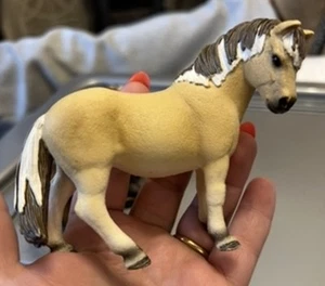 2013 Schleich Fjord Mare 13754 RARE RETIRED Toy Horse Figure - Picture 1 of 6