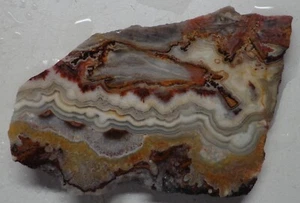 WRG- Mexican Crazy Lace Agate Slab 29 grams Mexico Lapidary Plume Moss - Picture 1 of 4