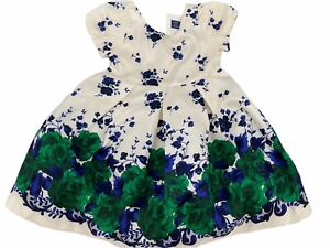 NEW Janie & Jack Ivory Blue & Green Floral Special Occasion Dress Sz 12 - 18 mos