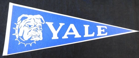 Yale University Bulldogs Vintage 12"x30" Felt Pennant With No Pinholes Cover