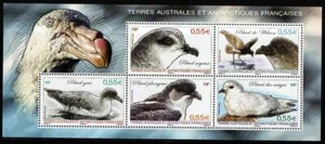 FRENCH SOUTHERN & ANTARCTIC TERRITORIES 2009 SGMS615 PETRELS MNH - Picture 1 of 1