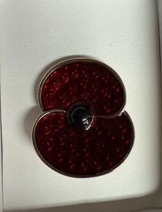 Brooch Buckley Design with red enamel and poppies in background - Picture 1 of 6